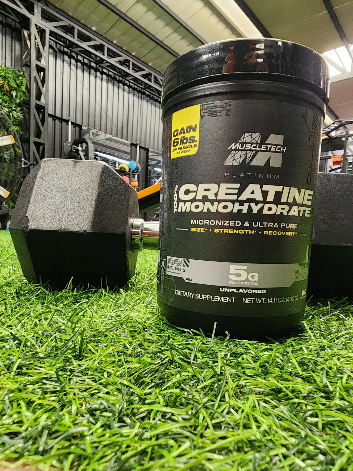 Creatina Platinum 80 Servicios Importada